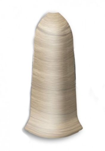 клен северный