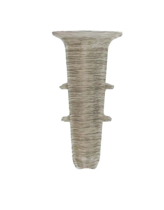 клен северный