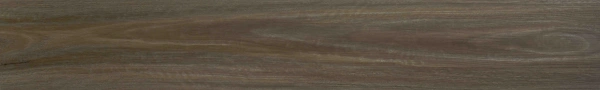 birchwood (2)