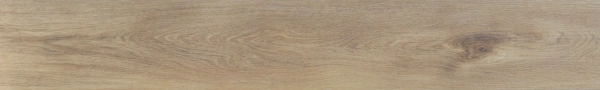 ASHWOOD (3)