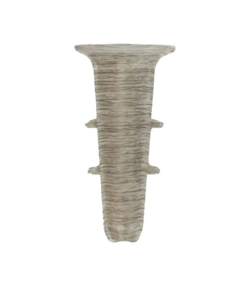 клен северный