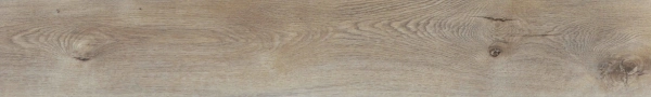 ASHWOOD (4)