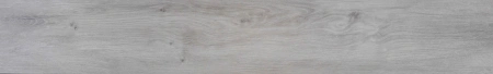 Silverwood (1)