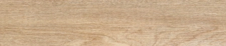 ELIT_0001_ED 3033_5
