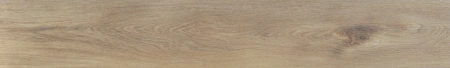 ASHWOOD (3)