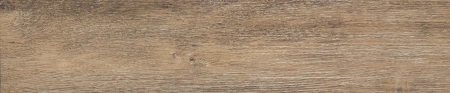Elegans_0003_ED 3741_3
