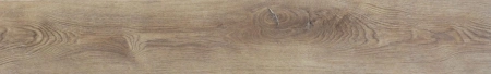 ASHWOOD (1)