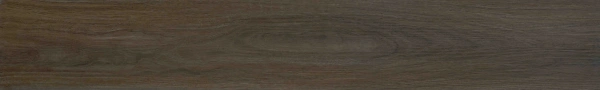birchwood (3)