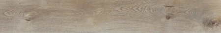 ASHWOOD (4)